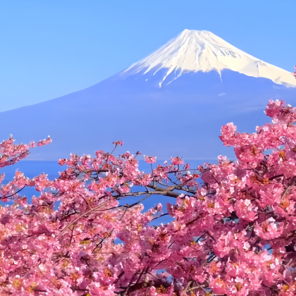 日本东京+富士山+箱根5日4晚私家团