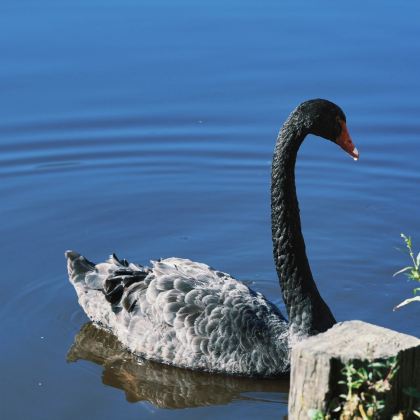 神农架+长江三峡+三峡大坝6日5晚私家团