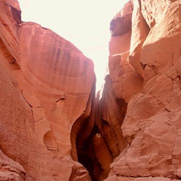 美国西海岸+洛杉矶市+旧金山+黄石国家公园+大蒂顿国家公园+拉斯维加斯+羚羊峡谷10日9晚跟团游