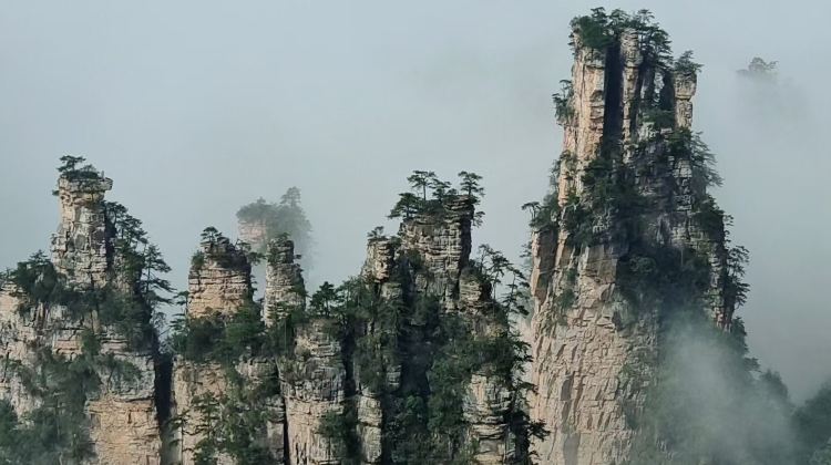 6-Day Immerse yourself in Tianmen Mountain National Forest Park + Zhangjiajie Grand Canyon + Zhangjiajie National Forest Park + Furong Town + Fenghuang Ancient Town