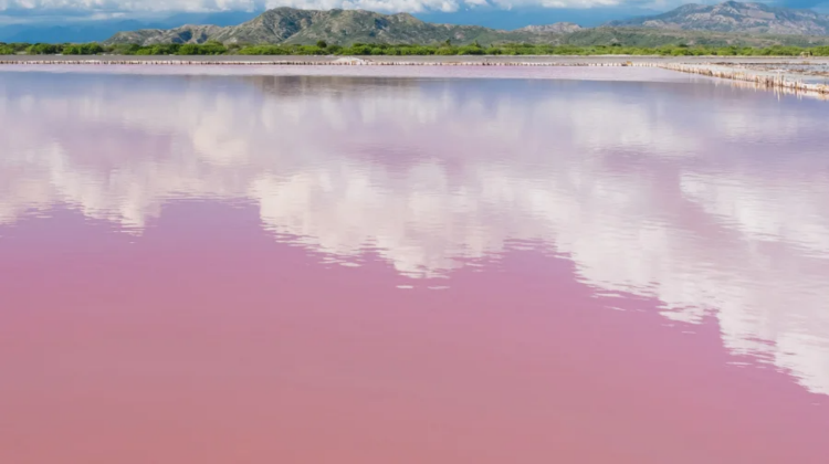 澳大利亞珀斯+尖峯石陣3日2晚跟團遊·4鑽酒店+多套餐可選+粉湖三日/追星光攝影/含門票