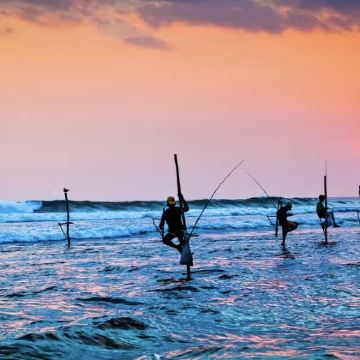 斯里兰卡6日5晚跟团游