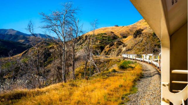 <11天>【双火车穿越南岛｜魔幻奇境北岛】·新西兰全景：TranzAlpine高山观景火车+福克斯冰川+霍比特人村+怀托摩萤火虫洞+爱歌顿农场+仙蒂镇淘金体验+天空缆车+库克山+蒂卡波湖+瓦纳卡湖