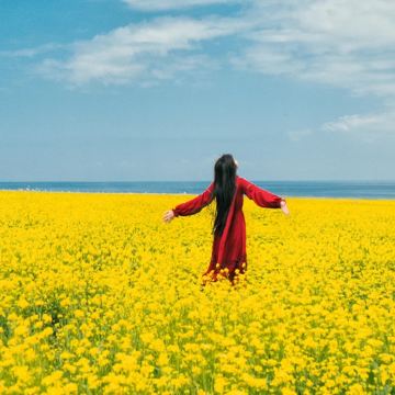 青海湖景区+茶卡盐湖+祁连5日4晚自由行