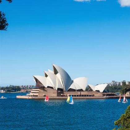 澳大利亚悉尼+黄金海岸+凯恩斯+墨尔本14日12晚拼小团