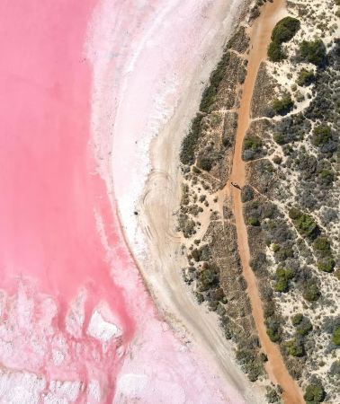 3D2N • Perth + Hutt Lagoon