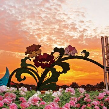 河南少林寺+洛阳龙门石窟+开封+云台山风景名胜区4日3晚私家团