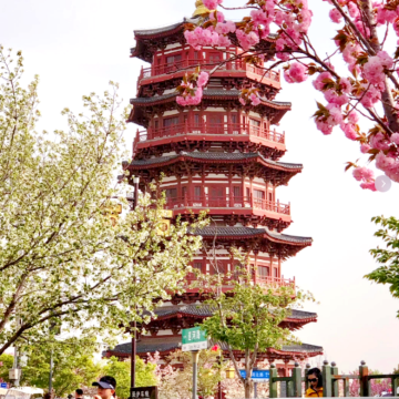 河南洛阳+老君山景区+龙潭大峡谷4日3晚私家团