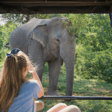 斯里兰卡7日跟团游