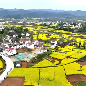 汉中+汉中龙头山国际旅游度假区+青木川古镇+汉中市博物馆+勉县武侯祠博物馆+兴汉胜境+张良庙+紫柏山国家森林公园6日5晚私家团