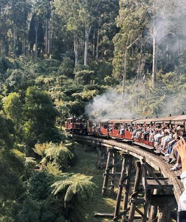 4D3N • Melbourne + Puffing Billy Railway + Phillip Island + Great Ocean Road | 53-Person Value Group Tour