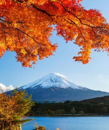 11D10N • Japan Autumn Foliage Journey: Tokyo, Mt. Fuji-Hakone, Ancient Kyoto-Nara & Osaka