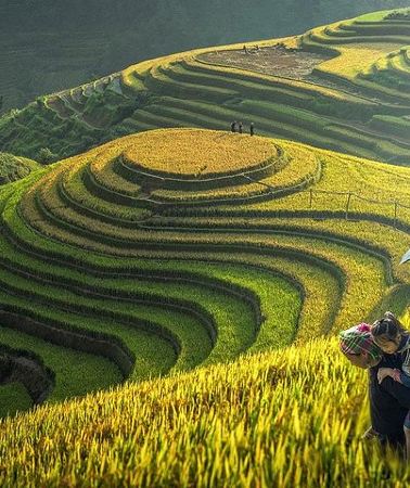 7D6N • 7 Days Package Hanoi- Halong -Sapa-Ninh Binh
