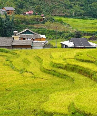 2D1N • Sapa 2 Day 1 night With 3Star Hotel Trekking Cat Cat - Fanxifang