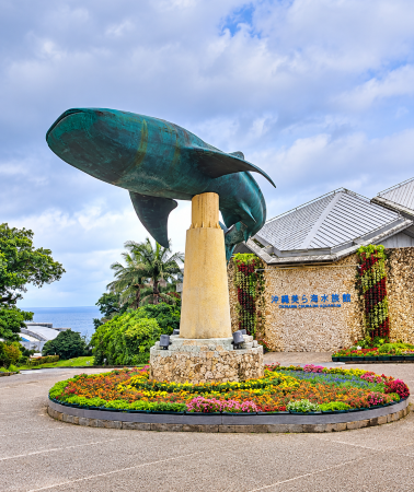 4天3晚 • 沖繩縣那霸＋沖繩美麗海水族館＋古宇利島＋萬座毛＋美國村＋殘波岬＋嘉手納空軍基地＋東南植物樂園＋AEON MALL Okinawa Rycom Mosque
