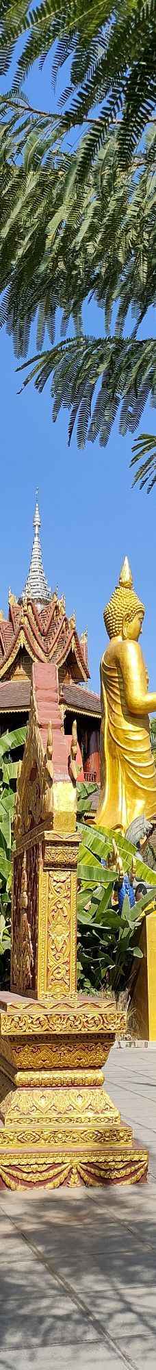 曼听御花园-景洪