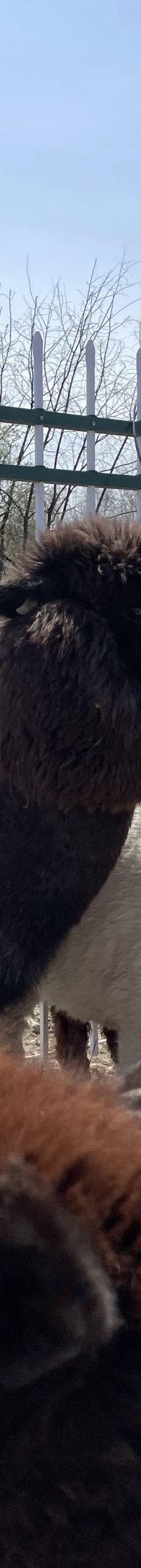 九峰山养心谷旅游度假区-伊春