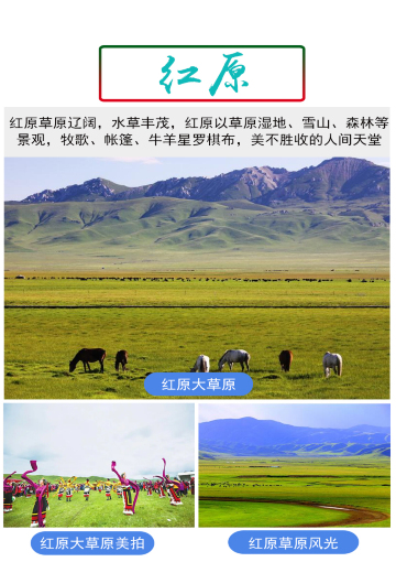 湿地 宁玛寺 莲宝叶则景区 黄河九曲第一湾 红原—若尔盖大草原8日7晚