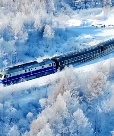4D3N • Mohe + Arctic Village + Beihong Village            
