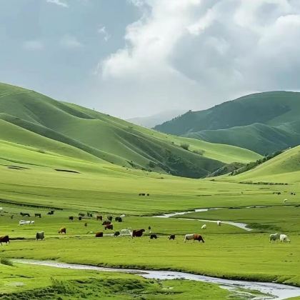 内蒙古包头+希拉穆仁草原+响沙湾2日1晚拼小团