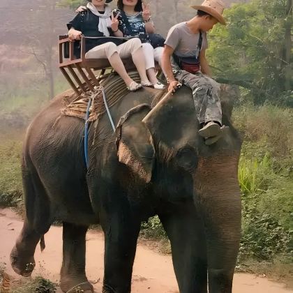 泰国曼谷+芭堤雅6日5晚拼小团