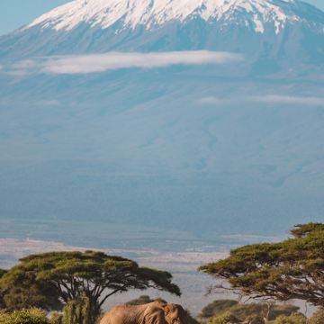 肯尼亚马赛马拉国家公园+肯尼亚山+奈瓦沙+纳库鲁10日9晚私家团