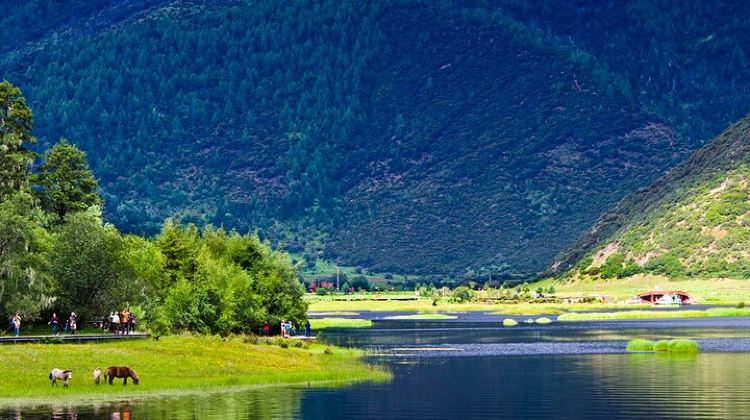 8D7N · Private Tours · 8 Days Private Yunnan Highlight Tour