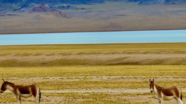 10-Day Legendary Tibet Group Tour·Lhasa Heritage, Shigatse Monasteries & Himalayan Wonders