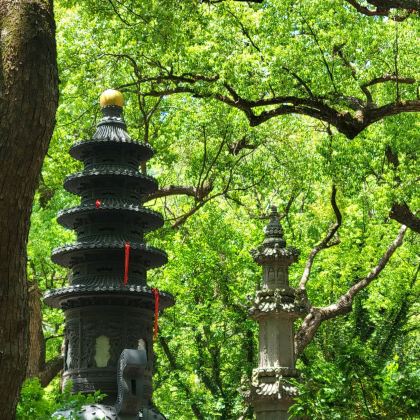 普陀山+南海观音2日1晚私家团