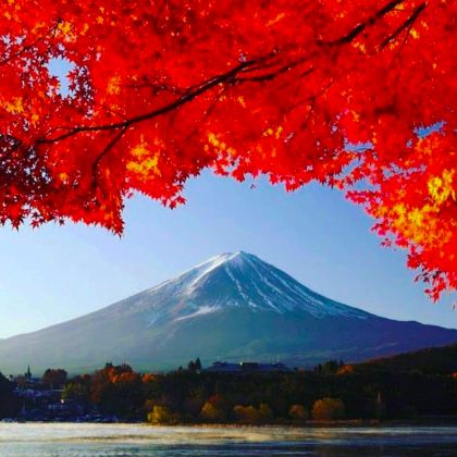 日本东京+富士山+大阪+京都+奈良8日7晚自由行