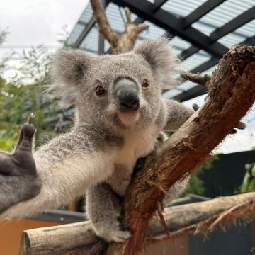 澳大利亚墨尔本7日6晚自由行