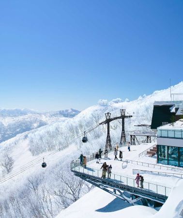 5日4晚 • 北海道冰雪之旅｜星野 TOMAMU+美瑛雪上樂園+白鬚瀑布+青池+旭川市旭山動物園+白色戀人公園+藻巖山浪漫夜景