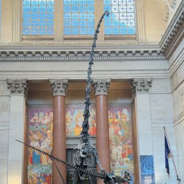 美国9日8晚私家团