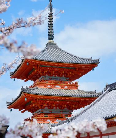 6D5N • Year Round Kyoto Temple Tour:  Ancient Shrine Riverside Stroll Experience + Kyoto City Central Hotel Stay + Fushimi Inari Nijo Castle Landmarks + Mount Hiei Temple Season Highlight