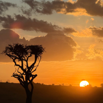 肯尼亚内罗毕+安博塞利+奈瓦沙+纳库鲁+马赛马拉国家保护区7日6晚拼小团