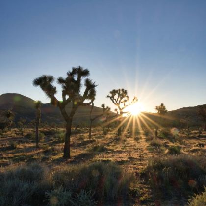 美国旧金山+洛杉矶+圣地亚哥+拉斯维加斯13日12晚私家团