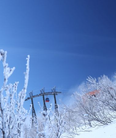 6日5晚 • 日本北海道札幌+旭川+十勝郡+小樽