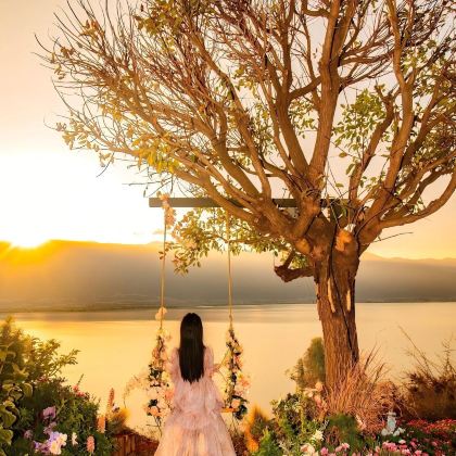 云南昆明+大理市+丽江+西双版纳8日7晚拼小团