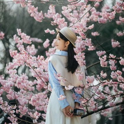 武汉+黄鹤楼+长江三峡+三峡大坝4日3晚跟团游