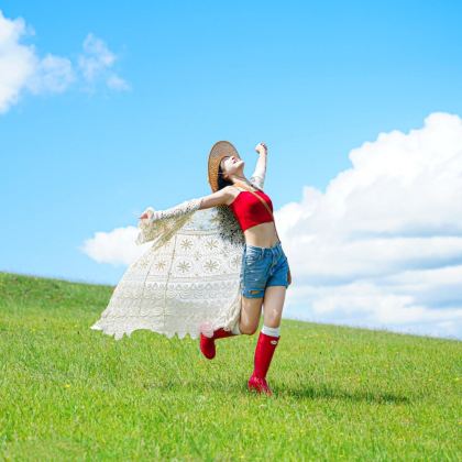 大连+沈阳+长白山+哈尔滨+齐齐哈尔+呼伦贝尔大草原+漠河+黑河+五大连池市+伊春18日17晚跟团游