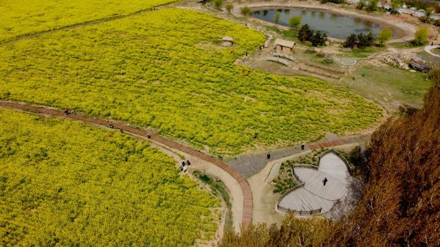 青岛西海岸生态观光园旅行图片 5