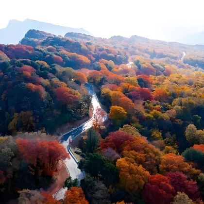 泸州+龙脑桥+泸县玉蟾山景区+尧坝古镇+金龙寺+泸州老窖景区5日4晚私家团