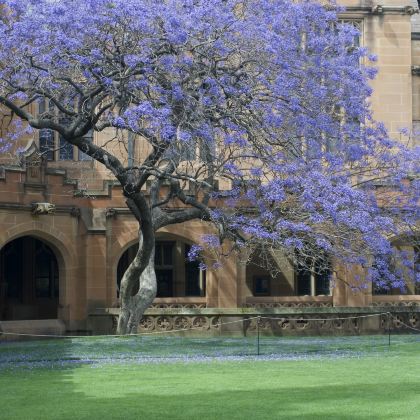 澳大利亚悉尼+墨尔本+企鹅归巢+普芬比利蒸汽火车+蓝山国家公园+莫宁顿半岛8日7晚私家团