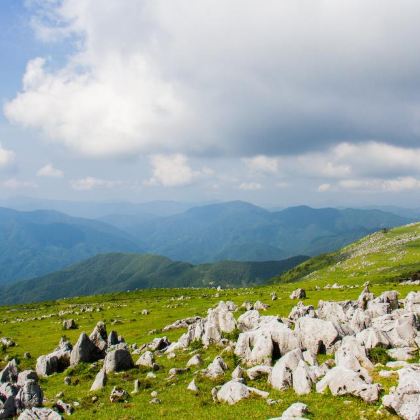 日本四国+高松+高知市+松山+道后温泉8日7晚私家团