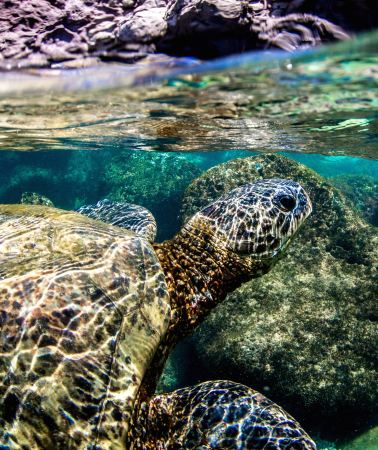 5D4N • Hawaii island