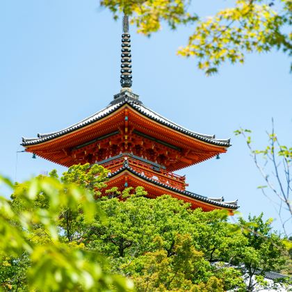 日本大阪+京都+金阁寺+清水寺+贵船神社+岚山+奈良+天桥立+伊根的舟屋+平等院8日7晚跟团游