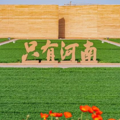 洛阳+郑州+开封5日4晚拼小团