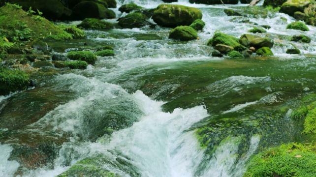 3-Day Private Zhangjiajie Tour·Zhangjiajie National Forest Park | Golden Whip Stream | Great Canyon