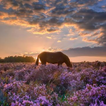 秘鲁+厄瓜多尔18日16晚私家团