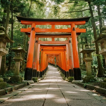 日本京都+大阪8日7晚自由行